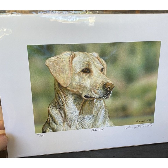 New Art Painting Print yellow lab Dog Puppy Danny O’Driscoll 2008 46/500 11x114 - Picture 1 of 6